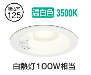 �I�[�f���b�N �l���Z���T�[�t�_�E�����C�g OD261249R �����F �����F ��125 ���M��100W���� �H���K�v