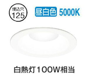 �I�[�f���b�N �_�E�����C�g OD261717R �����F �����F ���� ��125 ���M��100W���� �H���K�v