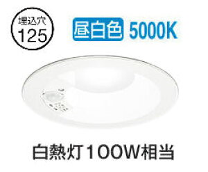 I[fbN lZT[t_ECg OD261745R F F 125 M100W HKv