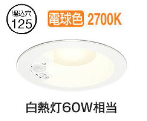 �I�[�f���b�N �l���Z���T�[�t�_�E�����C�g OD261750R �d���F �����F ���� ��125 ���M��60W���� �H���K�v