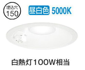 I[fbN lZT[t_ECg OD261958R F F 150 M100W HKv