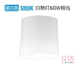 �I�[�f���b�N ���^�V�[�����O���C�g OL013006NR �����F �����F ���M��60W���� �H���K�v