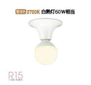 �I�[�f���b�N ���^�V�[�����O���C�g OL218036LR �d���F �����F ���M��60W���� �H���K�v
