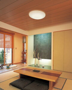 I[fbN aV[O EF BluetoothΉ OL251498BCR ykCEkEBʓrz