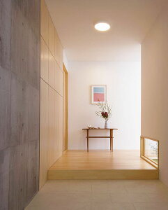 �I�[�f���b�N �V�[�����O���C�g OL251727R �d���F �����F FCL30W���� �H���K�v