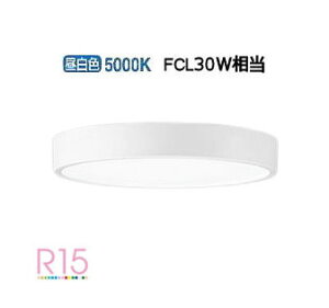 �����[�J�[���i�����I�[�f���b�N �V�[�����O���C�g OL251730R �����F ���� �����F FCL30W���� �H���K�v