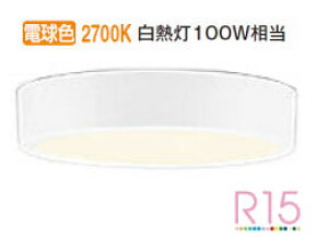 �I�[�f���b�N �V�[�����O���C�g OL251751R �d���F �����F ���M��100W���� �H���K�v