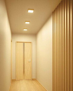 I[fbN V[OCg OL251789R dF  F M60W HKv