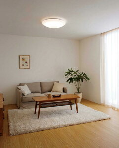 �I�[�f���b�N �V�[�����O���C�g OL251816R �`6���p �������F �����F �����R���t �y�k�C���E���k�E��B�����ʓr�z