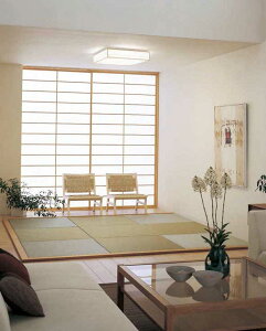 I[fbN aV[O EF OL291025R ykCEkEBʓrz