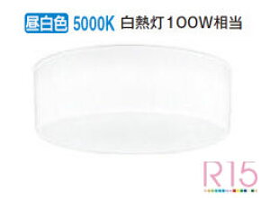 �I�[�f���b�N �S�z���^�C�v�V�[�����O���C�g OL291136R �����F �����F ���M��100W���� �H���K�v