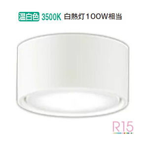 �I�[�f���b�N ���^�V�[�����O���C�g OL291446WDR �����F �����F ���M��100W���� �H���K�v