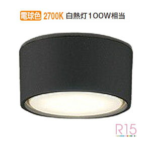 I[fbN ^V[OCg OL291447LDR dF F M100W HKv