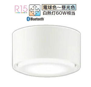 �I�[�f���b�N ���^�V�[�����O���C�g OL291448BCR �������F �����F ���M��60W���� �H���K�v