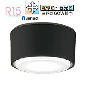 �I�[�f���b�N ���^�V�[�����O���C�g OL291449BCR �������F �����F ���M��60W���� �H���K�v