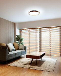 �I�[�f���b�N �V�[�����O���C�g OL291560R �`10���p �������F �����F �����R���t �y�k�C���E���k�E��B�����ʓr�z