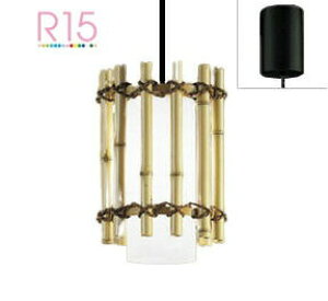 I[fbN ay_g OP105010NR