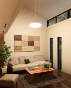 �I�[�f���b�N �y���_���g OP252429R �������F �����F ~8���p �H���K�v �y�k�C���E���k�E��B�����ʓr�z