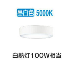 �I�[�f���b�N ���^�V�[�����O���C�g OL291673NR �����F �����F ���M��100W���� �H���K�v