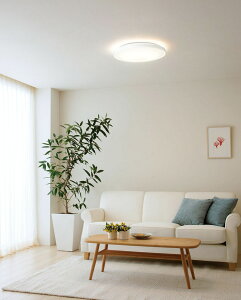 �I�[�f���b�N GAMMA PLUS �V�[�����O���C�g OL291553NGR ���� �`8���p �����F �����F �����R���t �y�k�C���E���k�E��B�����ʓr�z