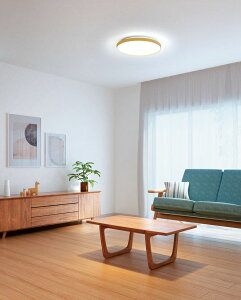 I[fbN GAMMA PLUS V[OCg OL291557NGR  `8p F F Rt ykCEkEBʓrz