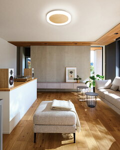 I[fbN V[OCg OL291662BR `12p F F Bluetooth ykCEkEBʓrz