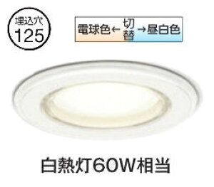 y10/14 20`Gg[őSi|Cg10{zI[fbN p_ECg OD261030PR  125 F M60W Fؑ֒ F HKv