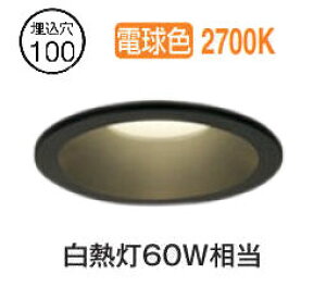 �I�[�f���b�N �_�E�����C�g OD261917R �d���F �����F ���� ��100 ���M��60W���� �H���K�v