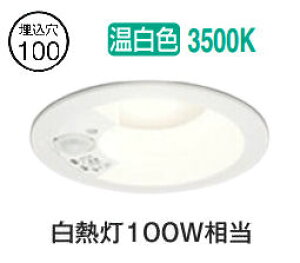 �I�[�f���b�N �l���Z���T�[�t�_�E�����C�g OD261942R �����F �����F ��100 ���M��100W���� �H���K�v