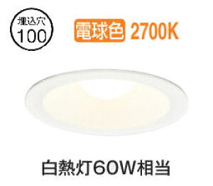 �I�[�f���b�N �x�[�X�_�E�����C�g OD262020LR �d���F �����F ��100 ���M��60W���� �H���K�v