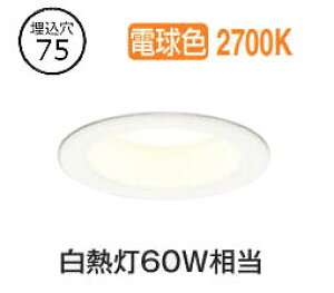 �I�[�f���b�N �_�E�����C�g OD361055R �d���F �����F ��75 ���M��60W���� �H���K�v