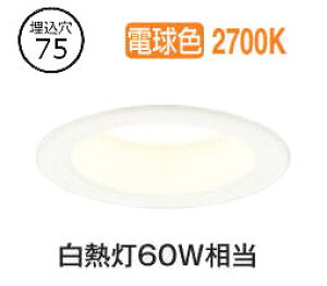 I[fbN p_ECg OD361200R  dF F 75 M60W HKv