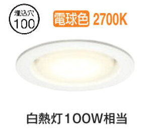 �I�[�f���b�N �_�E�����C�g OD361203LDR �d���F �����F ��100 ���M��100W���� �H���K�v