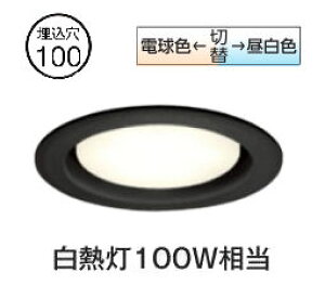 �I�[�f���b�N �_�E�����C�g OD361229PR ��100 ���M��100W���� �����F ���F�ؑ֒��� �g�U�z�� �H���K�v