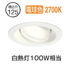 �I�[�f���b�N ���j�o�[�T���_�E�����C�g OD361241LDR �d���F �����F ��125 ���M��100W���� �H���K�v