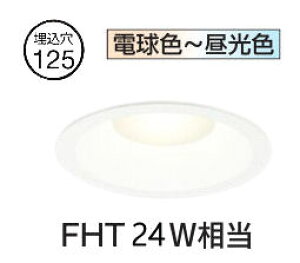 �����[�J�[���i�����I�[�f���b�N �_�E�����C�g OD361281BR �������F �����F Bluetooth ��125 FHT24W���� �H���K�v