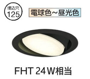 �I�[�f���b�N ���j�o�[�T���_�E�����C�g OD361362BR �������F �����F Bluetooth ��125 FHT24W���� �H���K�v