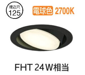 �I�[�f���b�N ���j�o�[�T���_�E�����C�g OD361362LR �d���F �����F ��125 FHT24W���� �H���K�v