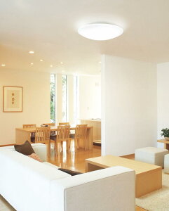 �I�[�f���b�N �V�[�����O���C�g OL251269R1 �`14���p �������F �����F �����R���t �y�k�C���E���k�E��B�����ʓr�z