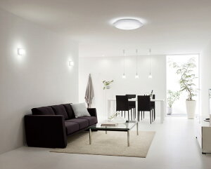 I[fbN Zp퓔tV[OCg OL291352BRE `10p F F BluetoothykCEkEBʓrz