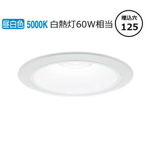 �p�i�\�j�b�N �_�E�����C�g XND0658WNLG1 (NDN28500W+NNK06011NLG1 ���M��60�`���� ��125 5000K ���� �H���K�v