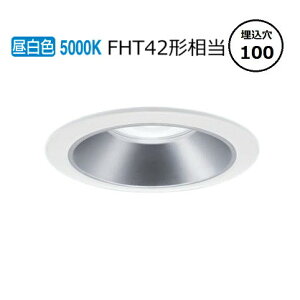 �p�i�\�j�b�N �_�E�����C�g XND2038SNLE9 (NDN28300S+NNK20010NLE9) FHT42�`���� ��100 5000K �H���K�v