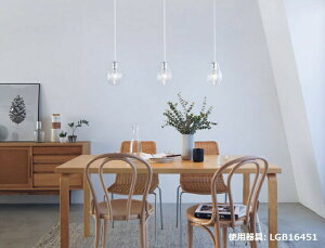 pi\jbN m_Ng[py_g LGB16451