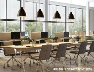 pi\jbN _Ng[py_g (vʔ) LGB16703 ykCEkEBʓrz