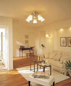 pi\jbN VfA dF LGB57582ZykCEkEBʓrz