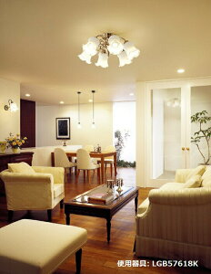 pi\jbN VfA dF LGB57618KykCEkEBʓrz