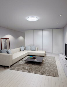 �p�i�\�j�b�N �V�[�����O���C�g 12���p ���F LGC51159K�y�k�C���E���k�E��B�����ʓr�z