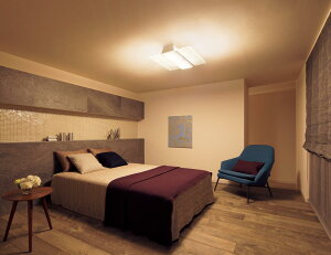 �p�i�\�j�b�N �V�[�����O���C�g12���p���F LGC58200�y�k�C���E���k�E��B�����ʓr�z