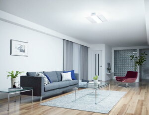 �p�i�\�j�b�N �V�[�����O���C�g14���p���F LGC68200�y�k�C���E���k�E��B�����ʓr�z