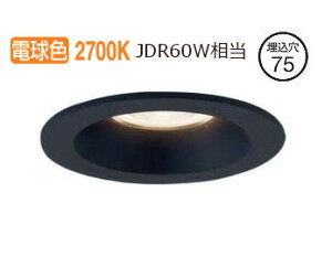 �p�i�\�j�b�N �_�E�����C�g 60�`���� �d���F LGD1021LLB1 �H���K�v
